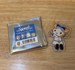 横浜DeNA ベイスターズ マグネット D.Bキララ ②のサムネイル