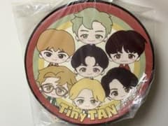 BTS TinyTAN 매트 & 고무 열쇠 고리 세트