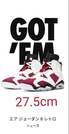AIR JORDAN 6 CARMINE 27.5cmのサムネイル