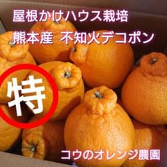 熊本産 屋根かけハウス栽培 不知火デコポン 超人気(^o^) - メルカリ