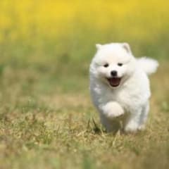 みりん様専用でございます。のサムネイル