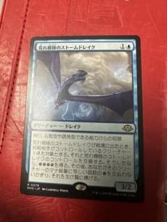 mtg モダン　荒れ模様のストームドレイクのサムネイル