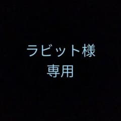ラビット様専用のサムネイル