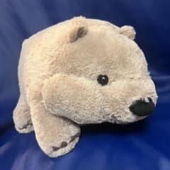 m32003155088_1.jpg?1754192216