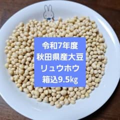 令和7年度秋田県産大豆(リュウホウ)箱込14㎏ 令和7年度秋田県産大豆(リュウホウ)箱込14㎏ - メルカリ