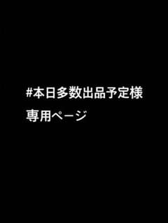 専用ページです。のサムネイル