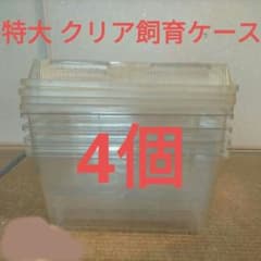 特大 クリア飼育ケース クリアプラケース 虫かご 爬虫類 4個セット 