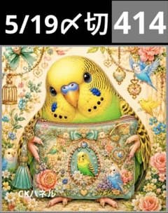 新柄♥️期間限定レアパネル生地 鳥パネル生地 6柄セット CKパネル