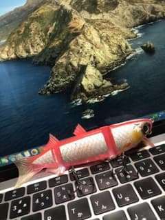 ボラコン　ピンクのサムネイル