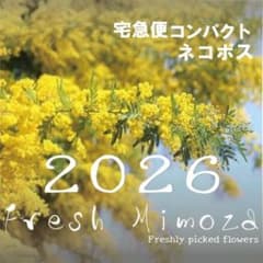 フレッシュミモザ 2026年 宅急便コンパクト・ネコポスサイズ - メルカリ