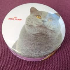 非売品 ロイヤルカナン ブリティッシュショートヘアー メモ缶のサムネイル