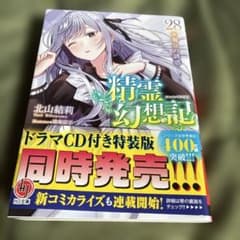 精霊幻想記28巻のサムネイル