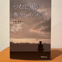 つむじ風に巻き上げられて 安酸敏眞のサムネイル
