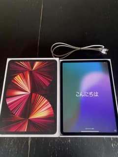 IPad pro 第3世代　256GB 11インチのサムネイル