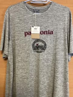 パタゴニア　Tシャツ　信越五岳　Lサイズのサムネイル