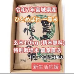 新生活応援令和7年産宮城県ひとめぼれ玄米10kg 精米無料 特別栽培米 一等米のサムネイル