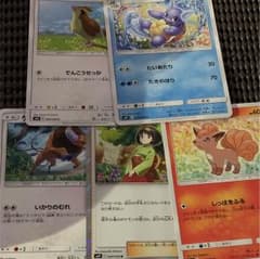 ポケモンカード エリカのおもてなしのサムネイル