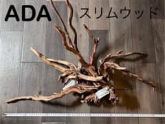 【早い者勝ち】ADA流木3本、他流木2本 ②ADAスリムウッド 3本（特大Lサイズ1本、M2本）（未使用品 - メルカリ