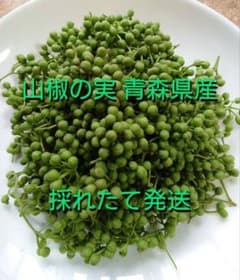 青森県産 実山椒 ☆採れたて 増量中 ☆値引き可　コメント専用 送料込み！ 青森県産 実山椒 ☆採れたて 100g+増量中 ☆値引き可