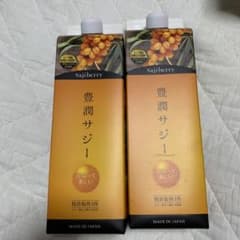 豊潤サジー 2本セットのサムネイル