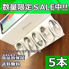 ipad mini 充電機 純正 対応 正規品 同等 ケーブル 10本