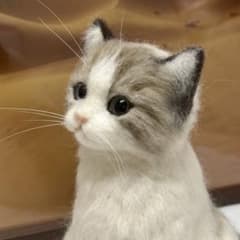 羊毛フェルト 猫 ・ラグドール・ハンドメイド - メルカリ