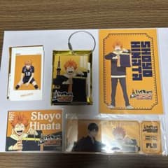 하이큐!! × 전국 타워 콜라보 외 히나타 쇼요 세트