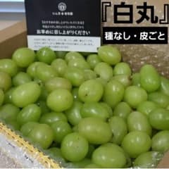 8/13-1　訳あり　白丸　葡萄　ぶどう　果物　くだもの　にん忍葡萄園のサムネイル
