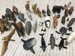 アニア セット売り 87様専用のサムネイル