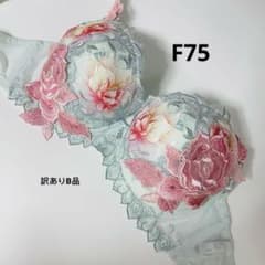 サルート⭐️97グループ ⭐️GB⭐️C75/L/M⭐️上下セット⭐️新品タグ付き❗️ salute サルート 97g C75 ゾンクL - メルカリ