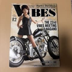 VIBES 2014年12月号 Vol.254のサムネイル