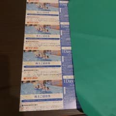 東京サマーランド株主優待券2枚セットのサムネイル