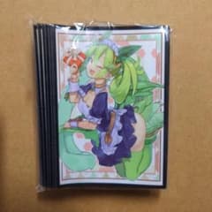 m32054251353_1.jpg?1755242136