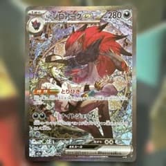 Nのゾロアーク　SAR