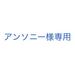 アンソニー様専用ページのサムネイル