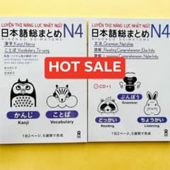 SOMATOME N4 日本語総まとめN4（ベトナム語・英語版）2冊セット - メルカリ