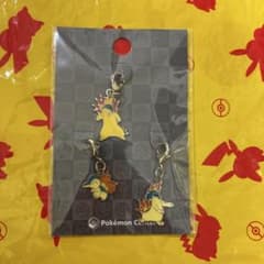 ポケモン 全国ずかん メタルチャーム ヒノアラシ マグマラシ