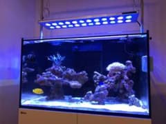 レッドシーリーファー250フランジ付きV3サンプ 水槽 セットのサムネイル
