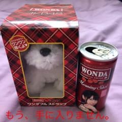 AKB48  ワンダフルストラップ　柏木由紀　限定品のサムネイル