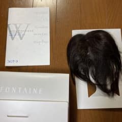 ウィングのサムネイル