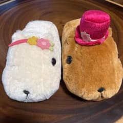카피바라 씨 봉제인형 정리 판매