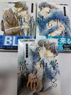 学ランの中までさわって欲しい 1巻・2巻セット 登田好美 フラワーコミックスα