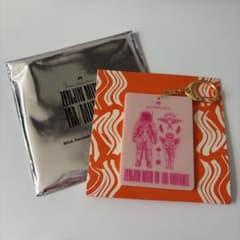 Mrs. GREEN APPLE キーホルダー　ランダム　ゼンジン　ミセスのサムネイル