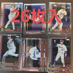 東京ヤクルトスワローズ Topps NPBカード まとめ売り 26枚入のサムネイル