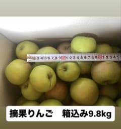 摘果りんご 箱込み9.8kgのサムネイル