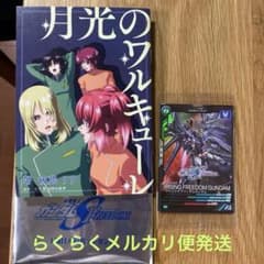機動戦士ガンダムSEEDFREEDOM 入場者特典　ライジングフリーダムガンダムのサムネイル