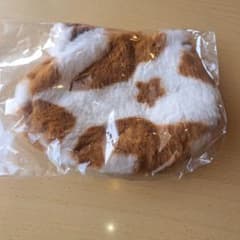 ぶちくんポーチ値下げ❗のサムネイル