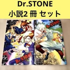 Dr.STONE ドクターストーン 小説 2冊セット - メルカリ
