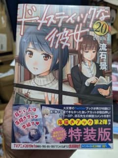 ドメスティックな彼女 20 特装版のサムネイル
