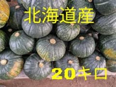 かぼちゃ（ほっこりうらら）20キロのサムネイル